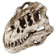 thumbnail image 1 of Cráneo de dinosaurio de resina con personalidad, adornos de esqueleto de Animal, accesorios, colección de Halloween, decoración artesanal, 1 of 14