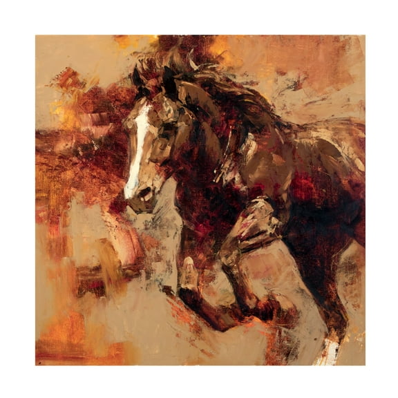 Julie T Chapman 'Earth Wind Fire' Canvas Art