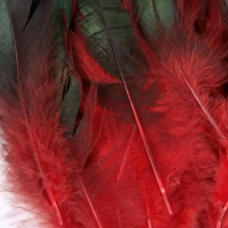 50Pcs Lot Natural Color Rooster Feathers 6-8 Inch Pheasant Chicken Feather  Craft