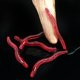 thumbnail image 3 of 100 piezas de lombriz de tierra falsa, gusano realista de plástico, juguete de truco de lombrices de goma suave y elástico para Halloween, fiesta del Día de los Inocentes, 3 of 5