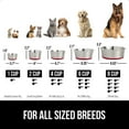 thumbnail image 6 of Dog Bowl Set of 2, Heavy Duty Stainless Steel Bowls by GORILLA GRIP, Holds 4 Cups, Red, 6 of 8