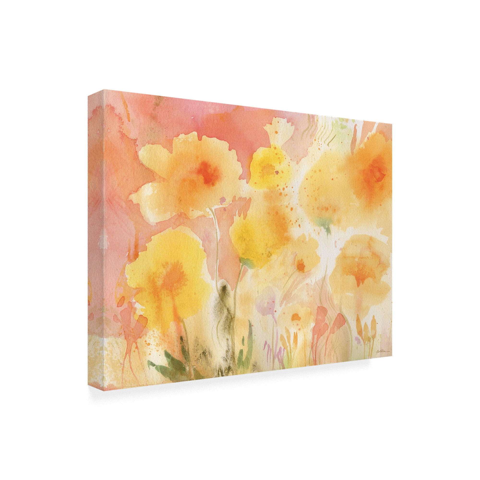 Trademark Fine Art 'Coral Sky, Yellow Garden' Canvas Art by Sheila Golden