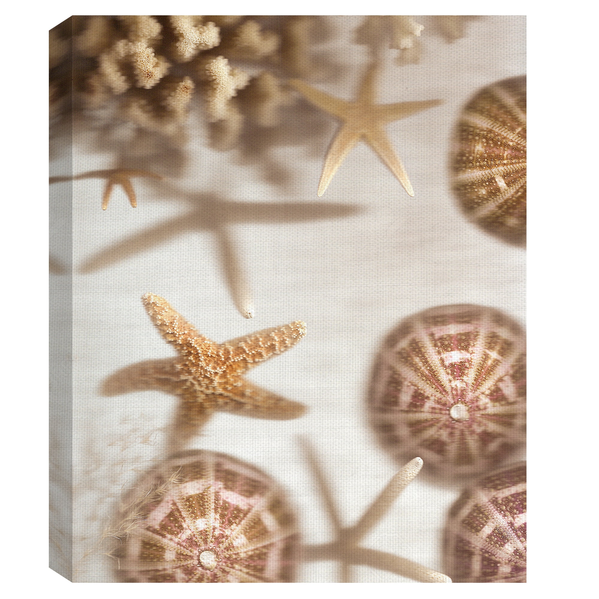 Masterpiece Art Gallery Nautical Illuminations No. 1 And 3 Sea Creatures By Alan Blaustein Canvas Art Print Set Of 2 (18" x 24")