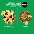 thumbnail image 6 of 2-pack Miracle-Gro Watering Can Singles All Purpose Plant Food - Water Soluble - 2 Pack, 48 Packets — Outdoor & Indoor Plant Use, Easy Application, 6 of 8