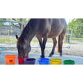 thumbnail image 3 of Mezcla de hidratación Improve Equine sin azúcar y baja en calorías para caballos, 3 of 7