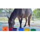 thumbnail image 3 of Mezcla de hidratación Improve Equine sin azúcar y baja en calorías para caballos, 3 of 7
