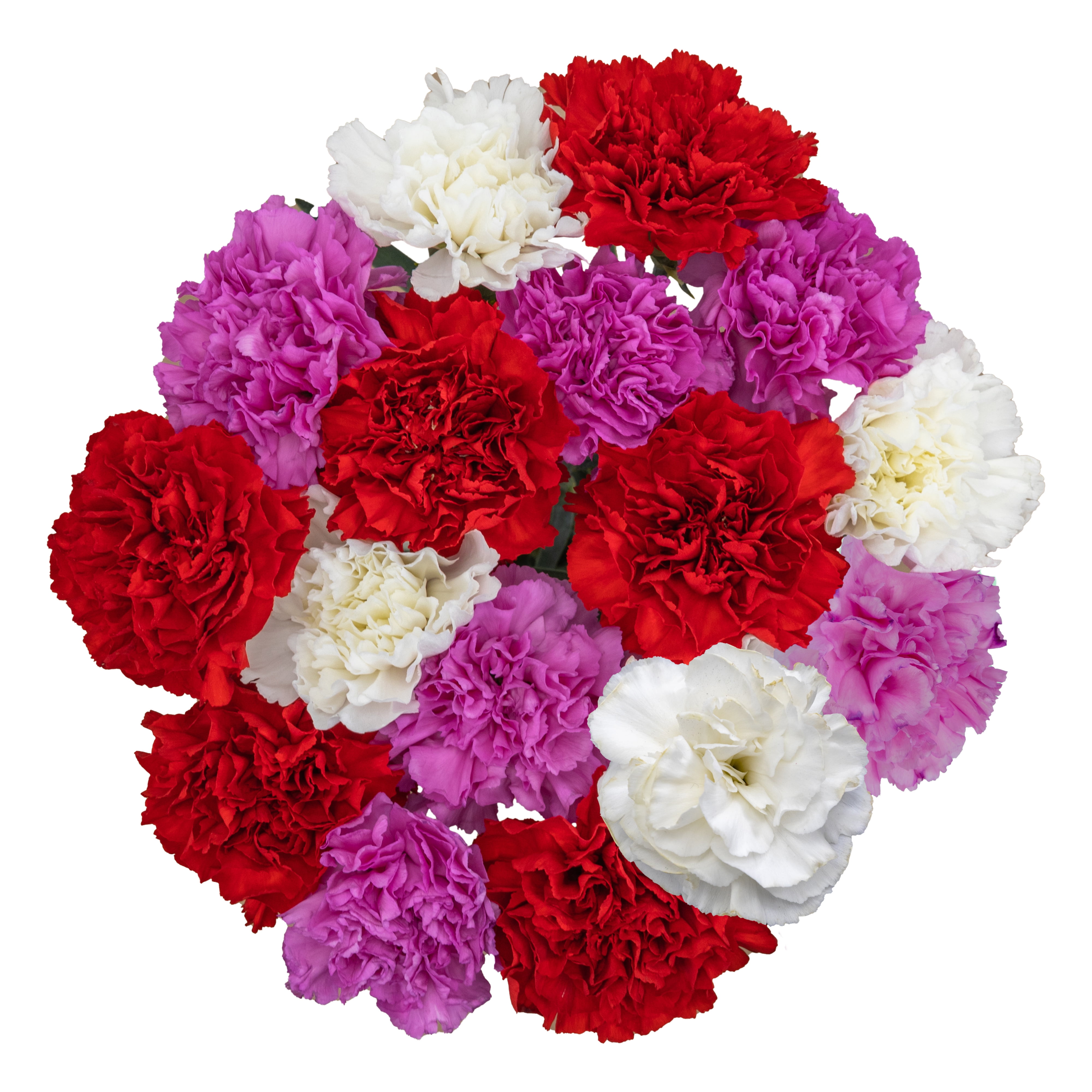Valentine’s Day Carnation Flower Bouquet, FreshCut, 16 Stems, Colors Vary