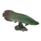 thumbnail image 1 of Vogacara Realistic Static Animal Model Toy Kids Gift Type2 NO2, 1 of 1