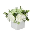 thumbnail image 6 of 10" Plastic  Hydrangea and Pom Pom Artificial Flower in Green Leaves and Square Ceramic Vase, by DecMode, 6 of 9