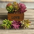 thumbnail image 4 of 10PCS Artificial Succulents Decorative Mini Lifelike Simulated Plants Home Decor, 4 of 9
