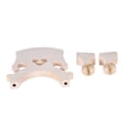 thumbnail image 4 of Labymos Standard Maple Bridge Replacement Part for 3/4 Size Double Bass Adjustable Upright Bass Bridge, 4 of 8