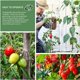 thumbnail image 5 of Paquete de 100 clips de soporte para plantas, tomates, ataduras, cordel, enrejados, jaulas, plantas trepadoras, verduras, 2,5 cm, 5 of 5
