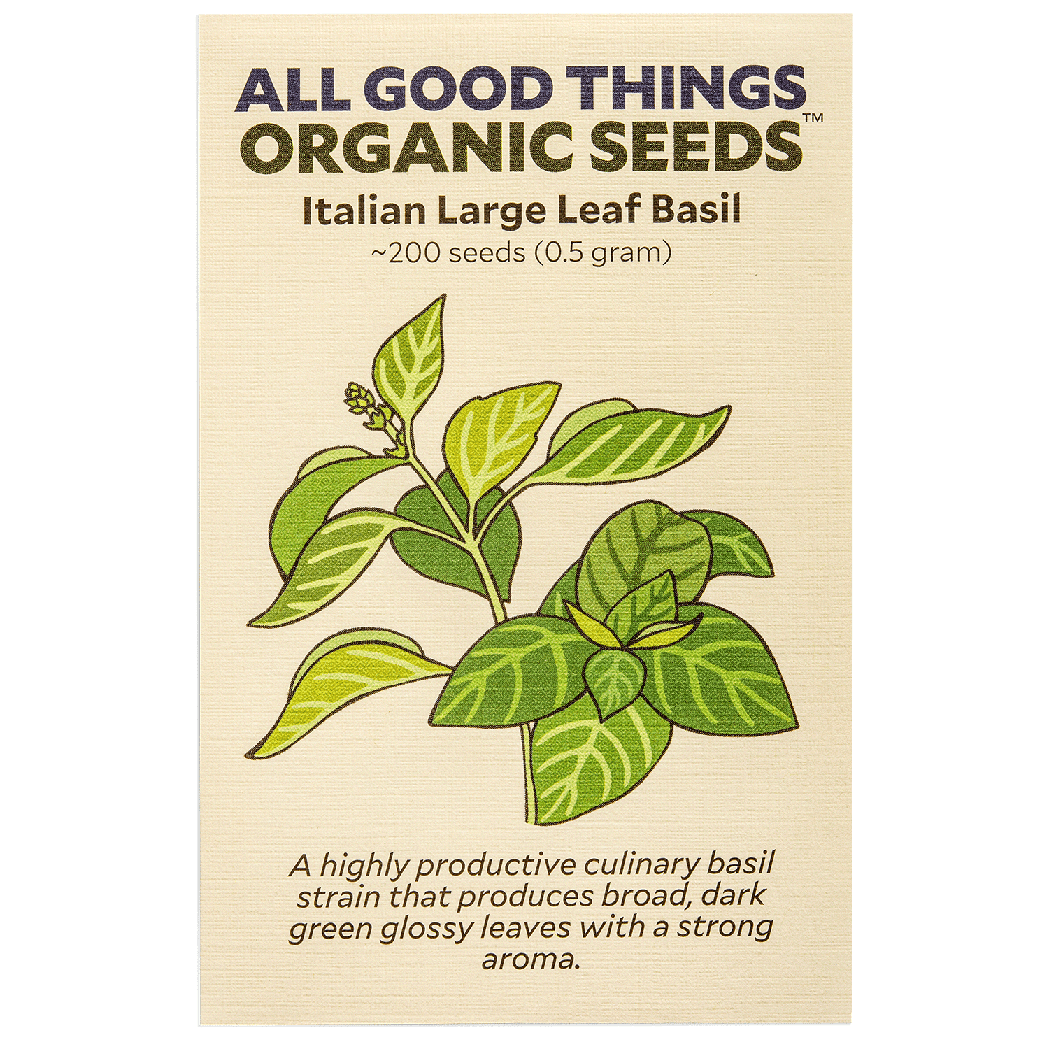 Italian Large Leaf Basil Seeds