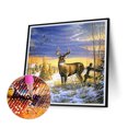 thumbnail image 1 of Cuadros Decorativos 5D bricolaje taladro redondo completo diamante pintura alce Kit hogar dormitorio decoración arte artesanía Tmvgtek embutido en tela, 1 of 8