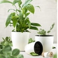 thumbnail image 3 of EeaseMX Macetas creativas de riego automático para plantas suculentas, redondas de plástico, con autorriego para casa, oficina y jardín (diámetro exterior: 15 cm), 3 of 7