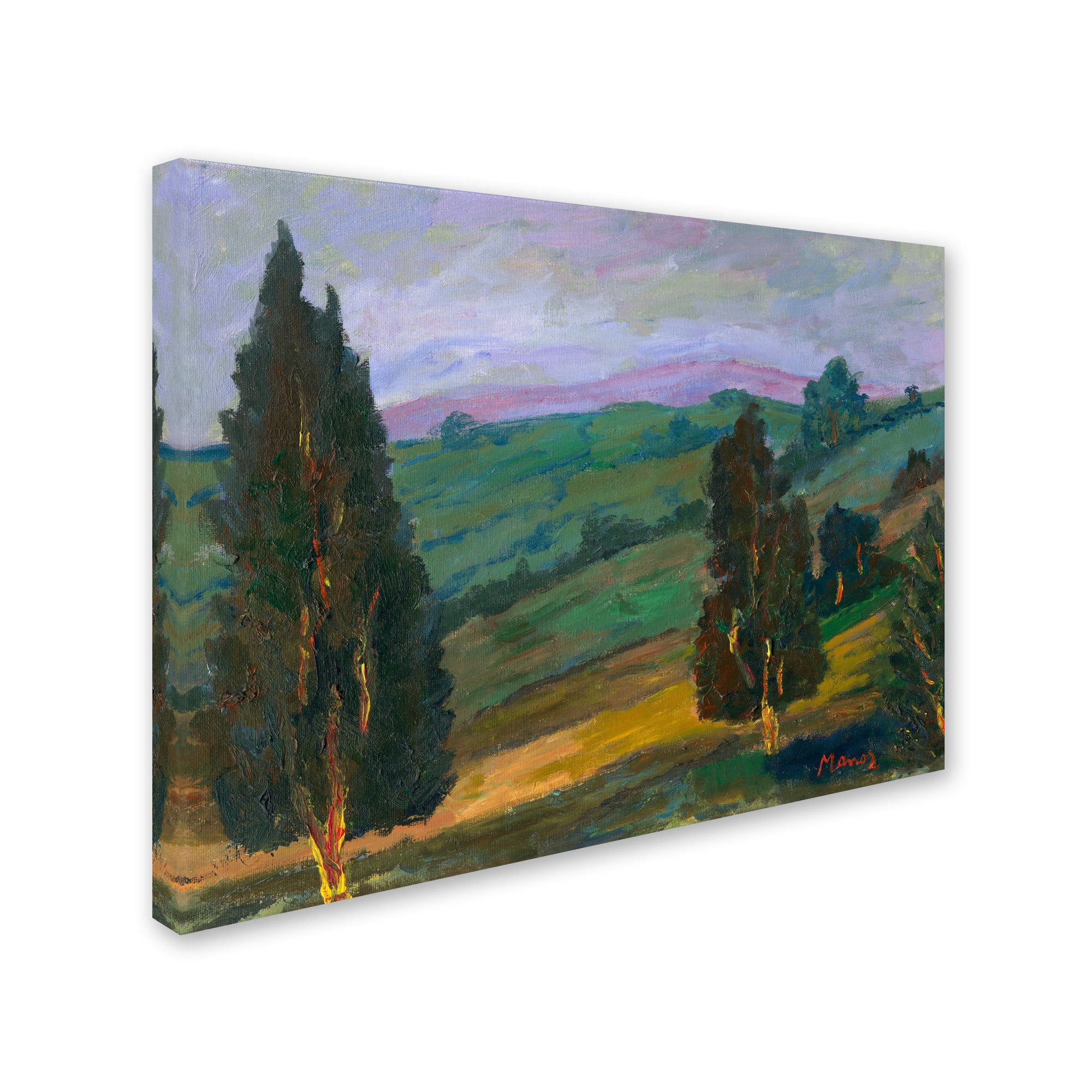 Trademark Fine Art "Island Bay" Canvas Art by Manor Shadian