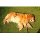 thumbnail image 3 of Peine extragrande para mascotas, cepillo para el cuidado del pelaje, herramienta para eliminar el pelo muerto, peine de aseo para perros grandes, golden retriever, husky, pastor alemán., 3 of 5