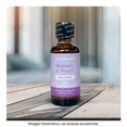 thumbnail image 4 of Fragancia Home Trends Balance And Peace 50 Ml, 4 of 4