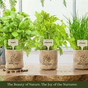 Herb Garden Growing Kit + Herb Grinder - Complete Kitchen Gardening Kit to Easily Grow 4 Culinary Herbs from Seed (Basil, Cilantro, Chives, Parsley) + Comprehensive Guide - Unique Gift for Women & Men