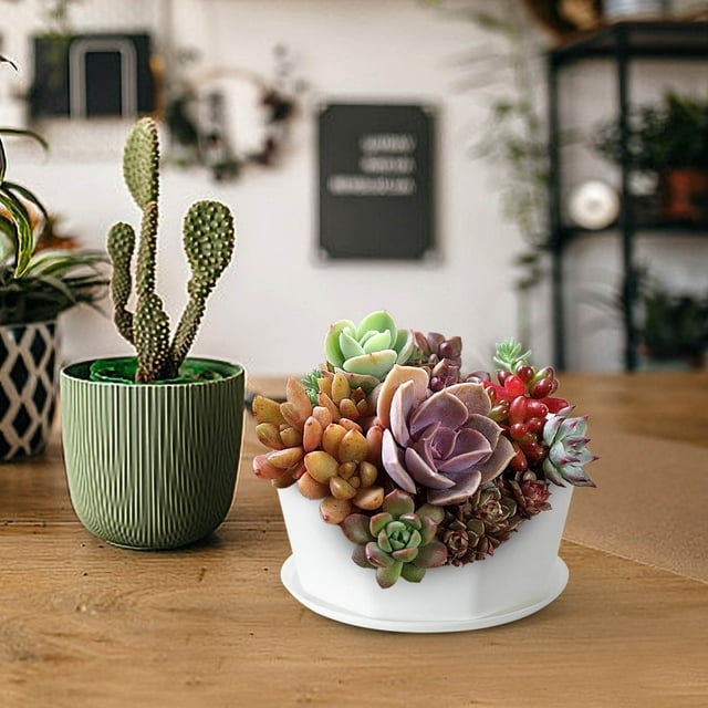 Pot de Plante en Résine Plastique Longue Durée avec Support de Base pour Usage Intérieur et Extérieur, Finition Imitation Céramique, Léger, Design Polyvalent pour Maison et Jardin, Idéal pour Petites Plantes