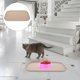 thumbnail image 2 of Alfombrilla de silicona para comedero de mascotas con bordes elevados para perros y gatos, ideal para comida y agua, 2 of 8