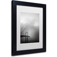 thumbnail image 2 of Trademark Fine Art Landmarks Matted Framed Art ' Golden Gate and Birds ' by Moises Levy, 2 of 2