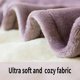 thumbnail image 3 of Manta térmica JET'S HOME Twin, 160 x 210 cm, franela, color morado, 3 of 9