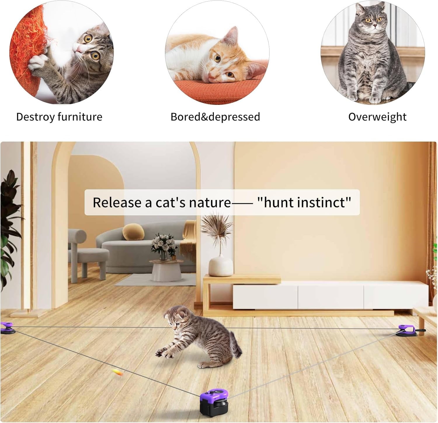 Pet Deluxe Interactive Cat Toy for Indoor Cats, Cat Feather Toy Treadmill for Bored Kitten Puppy Play Chase Run Exercise, Auto/RC Control DIY Cat Mouse Hunting Toy-Purple