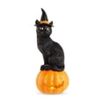 thumbnail image 2 of Halloween Black Cat Pumpkin Lamp, Light Up Resin Cat Statue, Indoor Outdoor Tabletop Decor for Porch Mantel Patio Party Halloween Display, 2 of 6