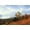 Unframed, variant on Art.com View of The Hudson River Valley Art Print by Albert Bierstadt, 18" x 12"
