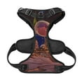 thumbnail image 5 of Lsque Pikmin Dog Harness, No-Pull Pet Harness with 2 Leash Clips, Adjustable Soft Padded Dog Vest with Easy Control Handle for Large Dogs-X-Large, 5 of 9