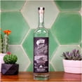 thumbnail image 3 of Tequila Cascahuin Plata 48 750 ml, 3 of 3