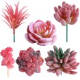 thumbnail image 2 of Coofit Artificial Succulent Creative Fake Succulent Artificial Plant for Home Decor, 2 of 10