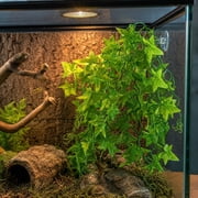 Cififendec Hanging Artificial Vine Reptile Tank Decor, 19.69", Bendable Plastic Ivy Green Plant Ornament for Terrarium Gecko Snake Lizard Habitat Vivarium Landscape Decor