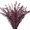 Red, variant on Real Dried Eucalyptus Stems, 20Pcs 17inch Red Preserved Fresh Eucalyptus Stems Plant for Home Vase Wedding Festival Floral Arrangement Fall Flowers Decoration