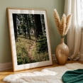 thumbnail image 6 of Through the Woods - Oregon Photography Forest Nature Woodland Scenic Wilderness Unframed Wall Art Print 12 x 18 inches, 6 of 60