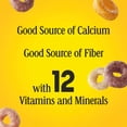 thumbnail image 3 of Fruity Cheerios, Heart Healthy Whole Grain Oat Cereal, Gluten Free, Family Size, 18.4 oz, 3 of 15
