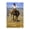Rodeo Cowboy Horse, variant on Stupell Industries Modern Modern Cowboy Silhouette Black Floating Frame Canvas Art, 17 x 21, by Karen Smith