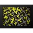 thumbnail image 2 of Millet, Karyn 14x11 Black Modern Framed Museum Art Print Titled - Seedlings, 2 of 5