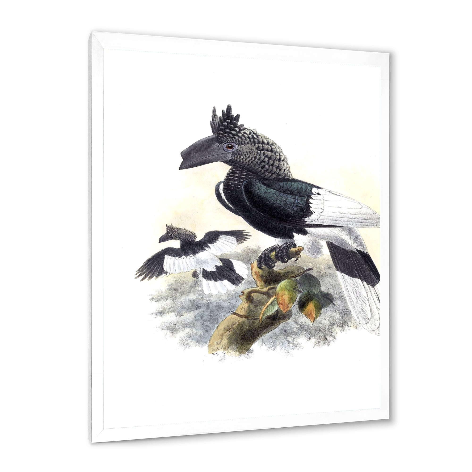 Designart 'Ancient Australian Birds XVI' Traditional Framed Art Print
