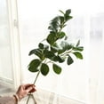 thumbnail image 5 of Faux Bigleaf Ficus Branches,Artificial Greenery Fake Eucalyptus Leaves Stems,Faux Shrubs Plants Stems Real Touch Floral Greenery for Vase Home Indoor Garden Window Box Wedding Courtyard Outdoor Decor, 5 of 7