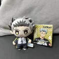 thumbnail image 3 of LONG AS10cm Mini Haikyuu peluche juguete voleibol muñeco de peluche Hinata Shoyo Tobio Kageyama Yu Nishinoya llavero colgante de peluche juguete para regalo, 3 of 5