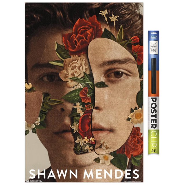 Shawn Mendes - Fleurs