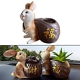 thumbnail image 3 of DOLITY Pot Cactus Plant Pot Creative Small Planter Cute Animal Pot for carrying pot, 3 of 9