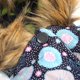 thumbnail image 3 of Abrigo de invierno para perros con capucha, abrigo de invierno para perros, chaqueta cálida para perros, chaqueta de invierno con capucha para cachorros, funcionalidad inteligente Jadeshay A, 3 of 8