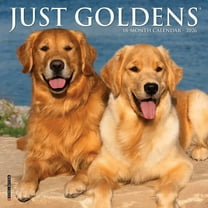 Just Goldens 2026 Mini Wall Calendar, (Paperback)