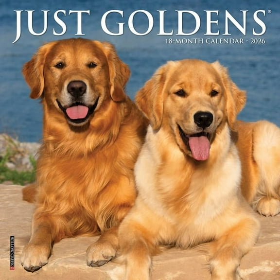 Just Goldens 2026 Mini Wall Calendar, (Paperback)