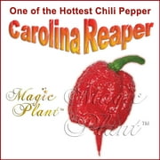 Carolina Reaper Dry Pepper (1kg=2.2lb) Dried Whole Reaper Peppers Extremely Hot!