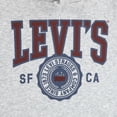 thumbnail image 5 of Levi's Boys Fleece Hoodie and Joggers Set, 2-Piece, Sizes 4-7, 5 of 5