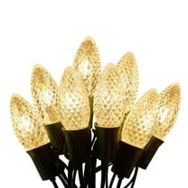 FANHAO 20Bulbs Decorative String Lights with Remote Control, Dimmable LED Christmas Hanging Lights